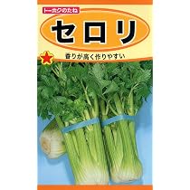 Amazon.co.jp: Plant Seeds Rich in Polyphenols, Purple Celery Seeds